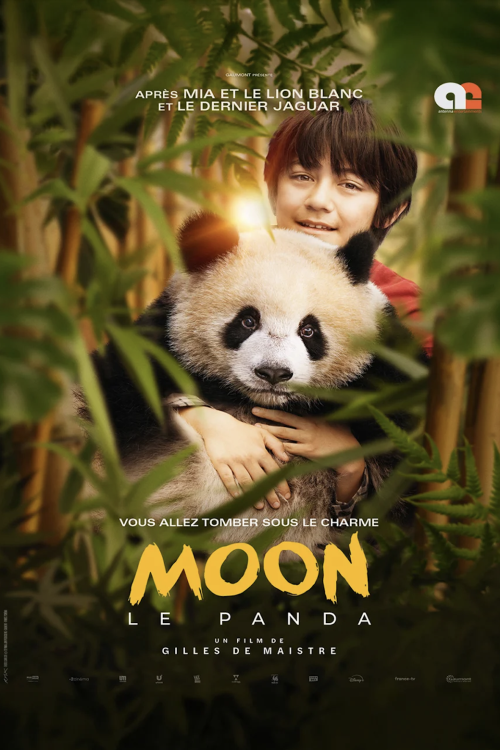 Moon The Panda