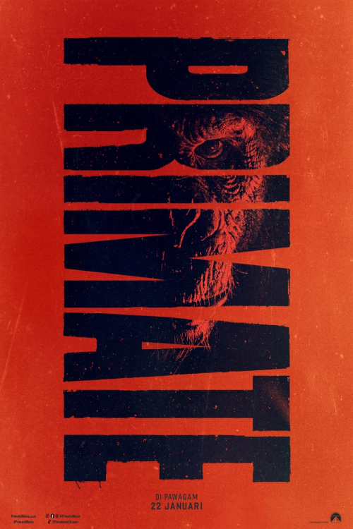 Primate